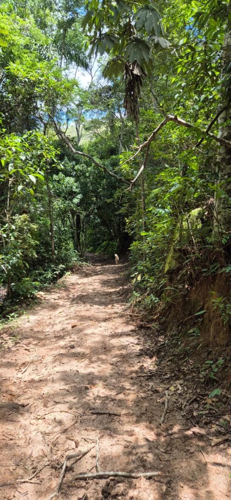 Pousada Rural E Pesqueiro Chale Da Serra Conceição da Ibitipoca Exterior foto