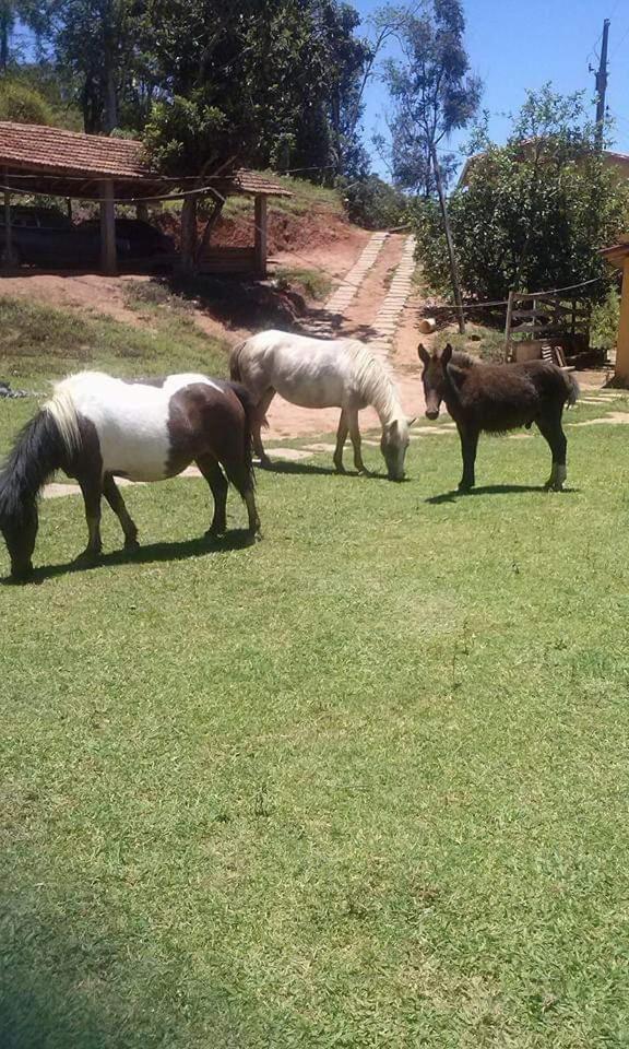 Pousada Rural E Pesqueiro Chale Da Serra Conceição da Ibitipoca Exterior foto